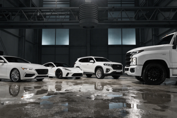 vehicle-specific wheel colors